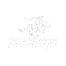 Winchester products offered at Legacy Star Enterprises
